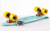 Пенні Борд. Penny Board Fish Skateboards Ментоловий - Фото №2