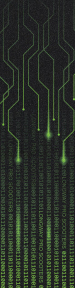 Сменный наждак Longway Printed Matrix Green - Фото № 1